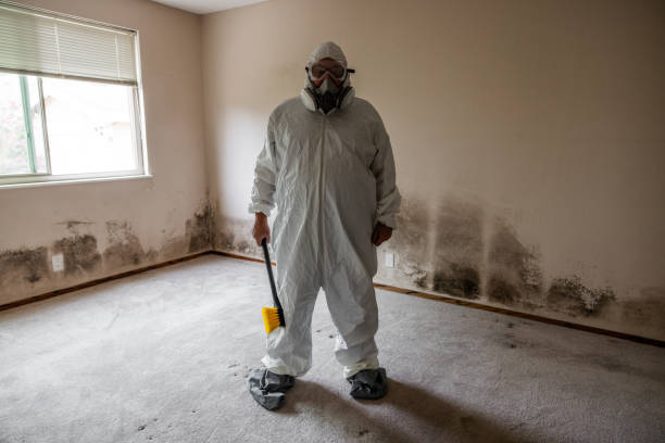 Best Crawl Space Mold Remediation in Westwego, LA